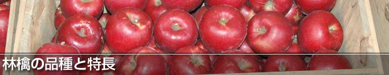 林檎の品種と特長