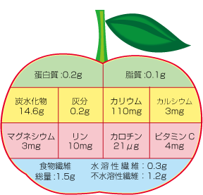 林檎の栄養分解図